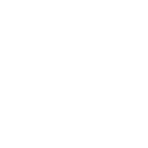 Hemos viajado